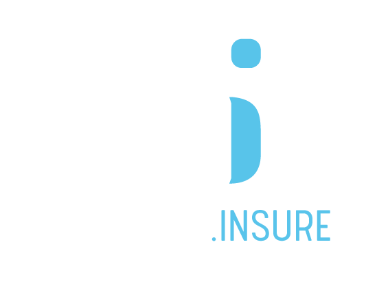 Seamless Insure